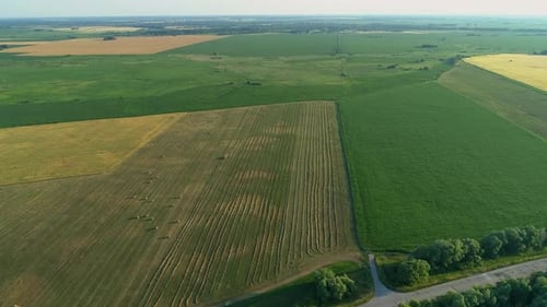 Drone Wide Shot Haystack and Harvesting Dry Grass Aerial Hay Bales at Field