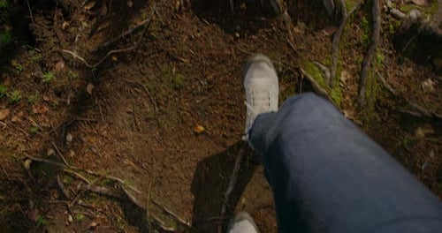 Blick von oben auf Mann in Wanderschuhen Gehen im Wald