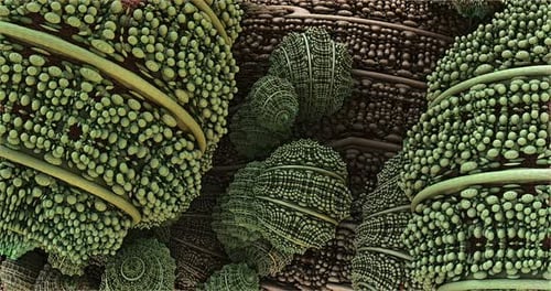 Fungi, Microscopic Microbes Macro Movement Effect