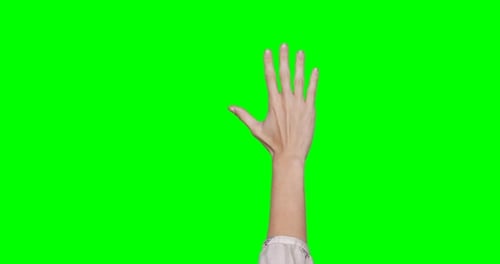 Hand Gestures on Green Screen