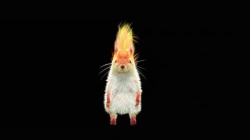 Flaming Squirrel 3D Character Animation