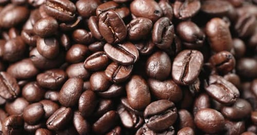 Roasted coffee bean