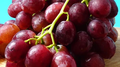 Grapes 13