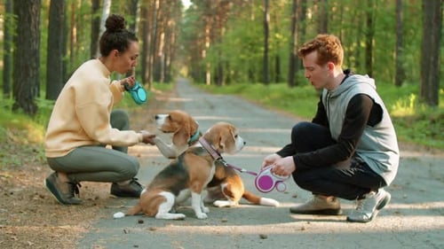 Couple Giving Treats to Dogs in Park