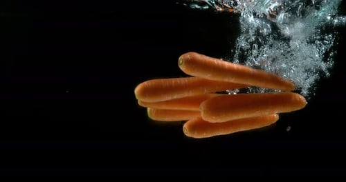 900465 Carrots, daucus carota, Vegetables Entering Water against Black Background, Slow Motion 4k