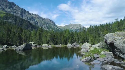 Moving Backward Away From Clear Blue Lake and Pine Woods Forest Mountain Valley in Summer