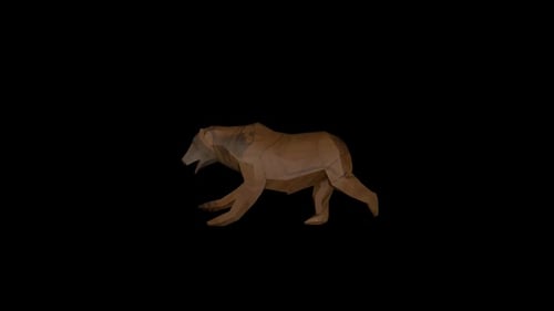Old Wood Bear Run Transparent Alpha Loop