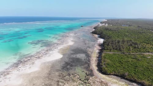 Tropical Coast and Barrier Reef in Ocean Sandbanks Low Tide Zanzibar Aerial View