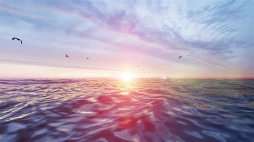 A Seagulls At Sunset At Sea