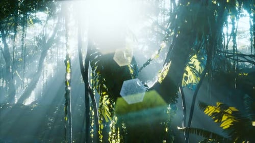 Mystical Tropical Forest with Sun Rays Nature Background