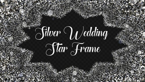 Elegant Silver Glitter Star Frame Reveal