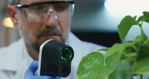 Scientist Scans Green Plant with Portable Device
