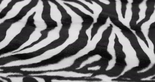 Close Up Of Zebra Patterned Fabric