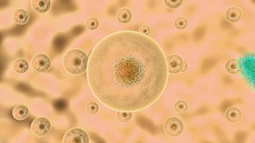 Microscopic Bacteria Infecting Human Cell 3D Animation