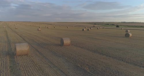 Aerial view of a field with hay bales
