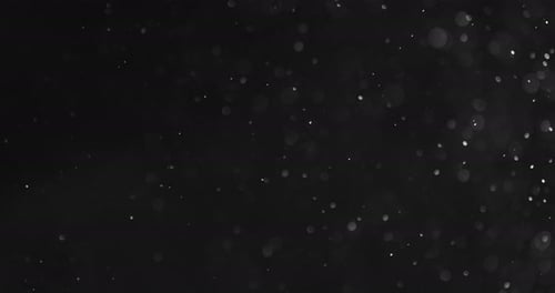 White Bubbles and Particles in Water against Black Background