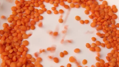 Pouring Red Lentils Filling White Bowl Close Up