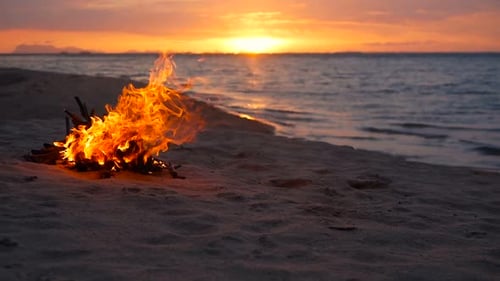 Loderndes Lagerfeuer am Strand, Sommerabend. Lagerfeuer in der Natur als Hintergrund. Brennendes Holz auf Weiß