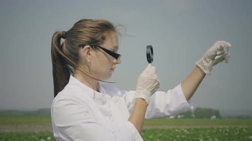 Scientist Examining Test Tube with Magnifying Glass in Field