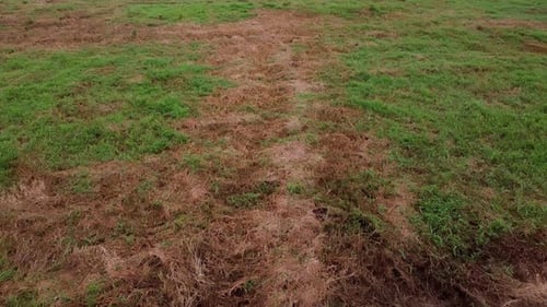 Aerial View of Patchy Green and Brown Field