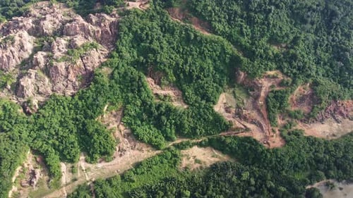 Deforestation at the hillside in evening.