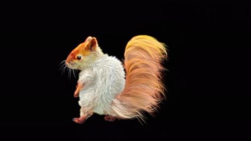 Animated Fluffy Squirrel Performing Different Movements on Black