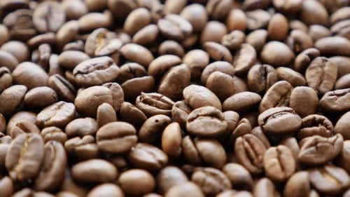 Pile of Roasted Coffee Beans