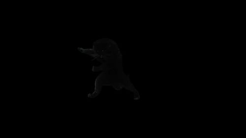 Animated Black Panther Predator Roaring Leaping and Pouncing