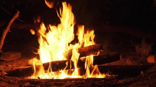 Crackling Campfire Flames Burning Brightly at Night