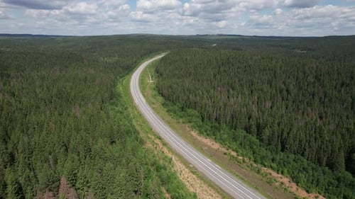 Aerial View of Scenic Road Between Green Trees with Pines on a Sunny Summer Morning