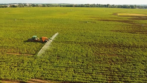 Tractor Is Spraying Fertilizers Field.