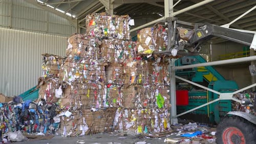 Recycling Facility with Bales of Paper and Cardboard