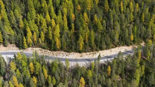 Aerial view on the road and forest at the autumn time. Dolomite Alps, Italy. Forest and road.
