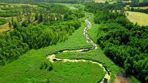 Aerial view of green algae on small river in summer