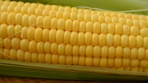 Close Up of Raw Corn on the Cob