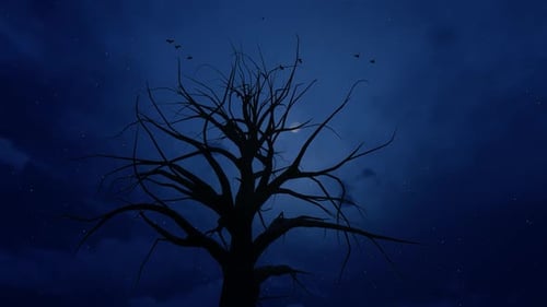 Spooky Bare Tree and Flying Birds in Moonlight