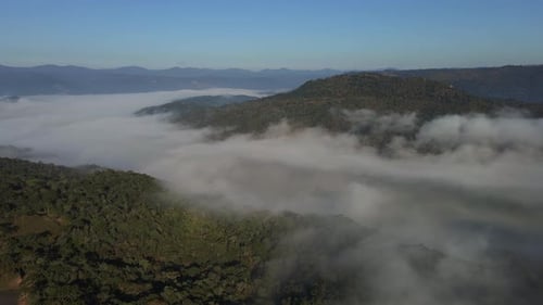 Morning Fog in Mountain Hills Covered with Forest