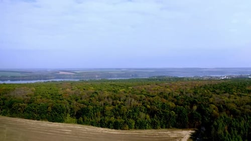Edge of the forest. Deciduous wood on natural river and fields background