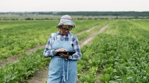 Woman Farmer Using Tablet in Rural Crop Field