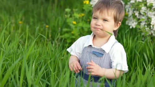 Funny Little Boy with Blue Bright Eyes in Overalls Eating Fresh Green Grass in a Large Blooming