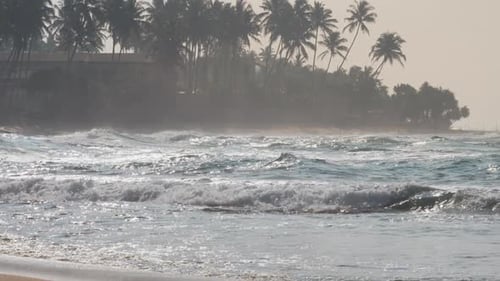 Tropical Beach with Waves Crashing on Shore