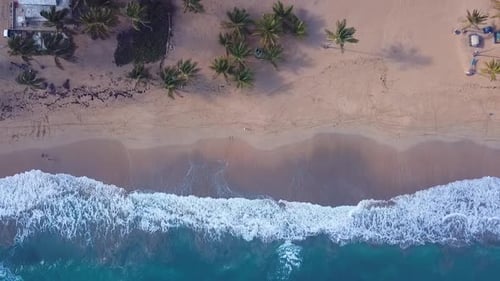 Wellen Im Strand Mit Palmen Baum In Der Padise Karibik Mit Drohne 1080 60fps
