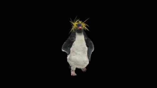 Pinguin tanzend HD