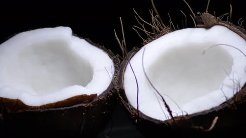 Cracked Coconut Reveals its White Flesh
