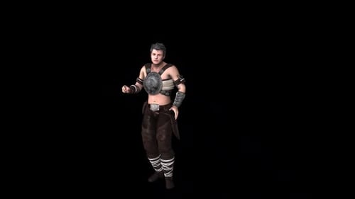 Animated 3D Male Fighter Character Performing Combat Stances