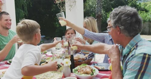 Family and Friends Toasting at Outdoor Meal