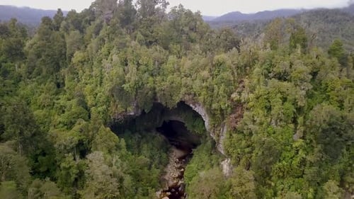 Immense grotte dans la forêt tropicale