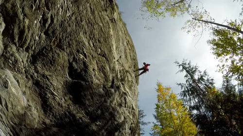 Rock climber descending down the cliff in forest 4k