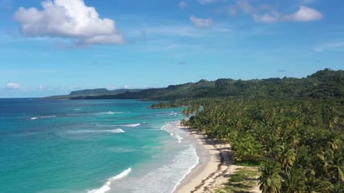 4k 24fps A Sunny Day In The Caribbean Beach With Palmstree And The Waves