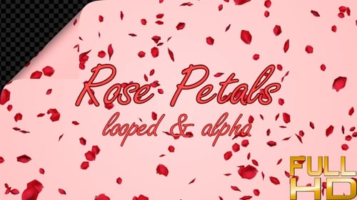 Falling Red Rose Petals Loop Alpha Channel